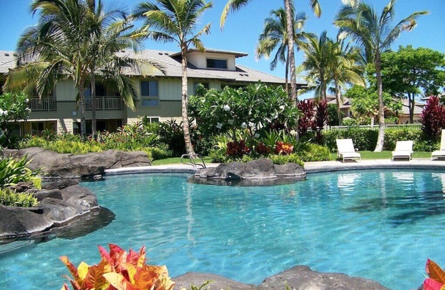 Enjoy snorkeling nearby! Pool available and easy walk to beach!