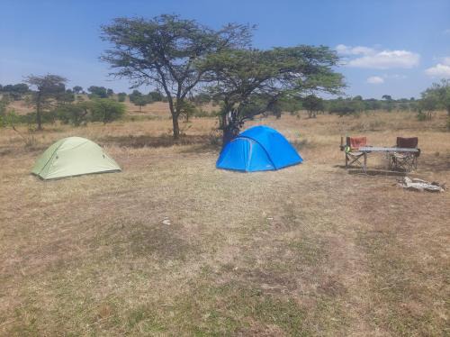 Enkereri Camp Maasai Mara