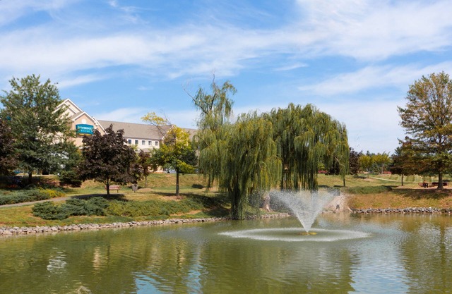 Equipped Suite Near IAD | Free Breakfast + Shuttle to Airport + Corporate Area