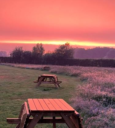 Erve Zonnehoeve Minicamping en Wijngaard