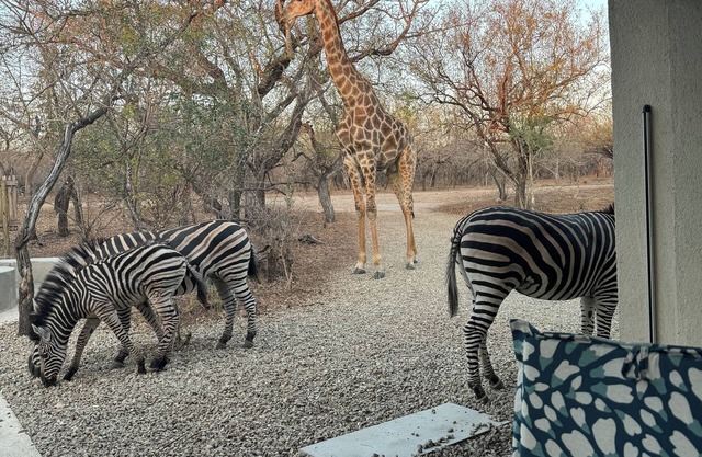 Escape to Chui House – A/C, Pool, WiFi & Wildlife Near Kruger National Park