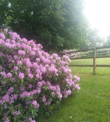 Etzauer Mühle-Mensch-Zeit-Pferd, Weilrod