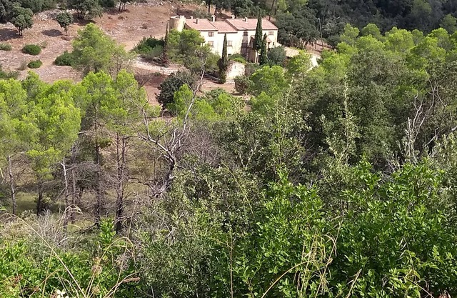 Exceptional place in the countryside. A rare place near the Pic Saint Loup