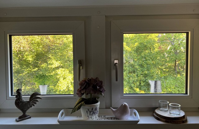 Exclusive, family-friendly holiday apartment * in the fairytale Harz