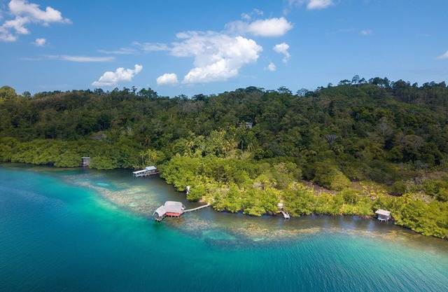Exclusive Jungle Retreat on Bioluminescent Lagoon