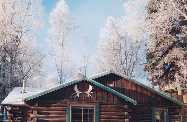 Experience Alaska In Your Very Own Private Log Cabin Built By A Former Mayor!