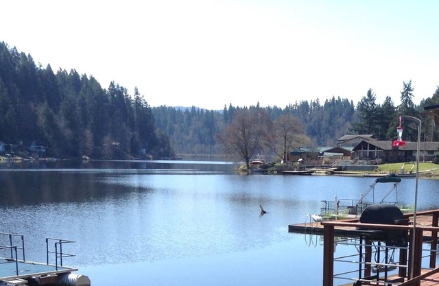 Experience Lake Life for your next vacation near Mt.Rainier.