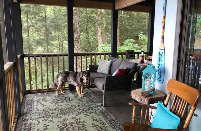 Explore an Off-Grid Waterfront Yurt Getaway on 11 Private Acres!