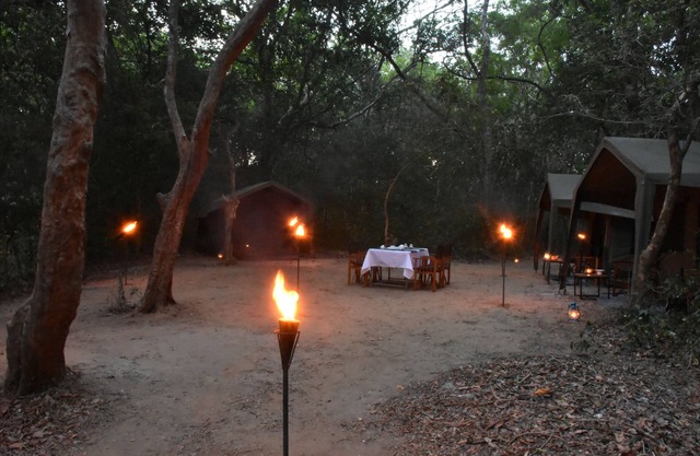 Explorer by Eco Team - Kumana National Park