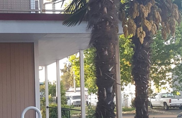 Express Inn & Suites