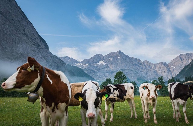 Fünfbettzimmer - Angerer Lager - Almdorf Eng Alm