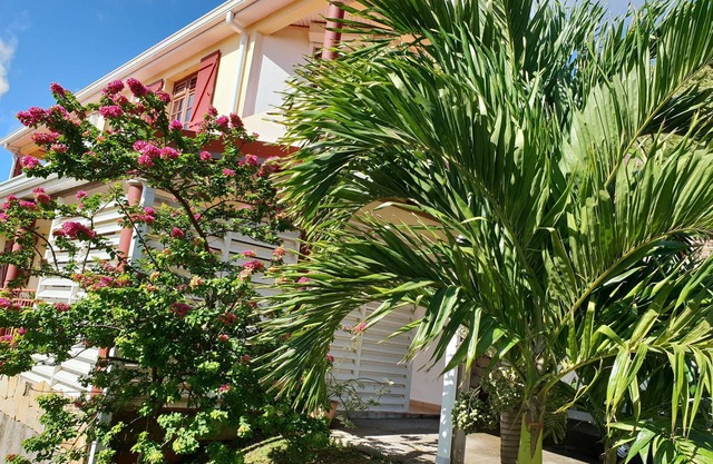 F3 apartment quiet, well ventilated with sea view