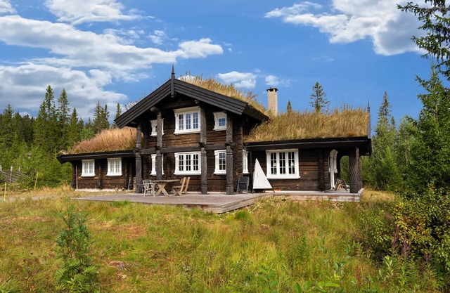 Fagerasen 811 by Vacation Trysil