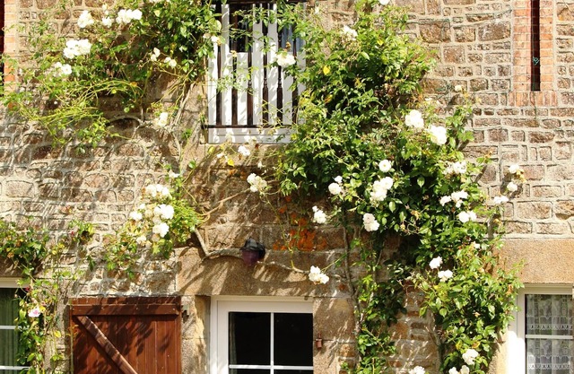 Family gîte with heated swimming pool.