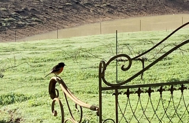 Family Friendly Shady Retreat in the beautiful Ferguson Valley.