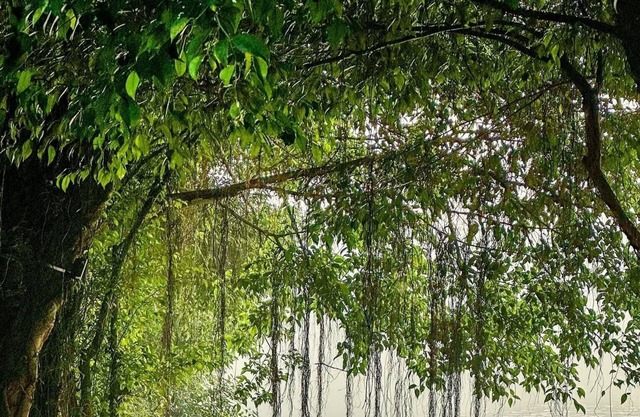 Family-Friendly, Fill up with morning sunshine, Fully furnished yet spacious