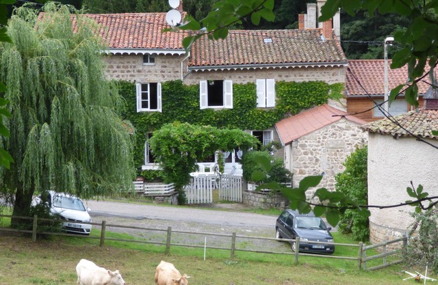 FAMILY HOUSE - CAMPAIGN AUVERGNE / RHÔNE-ALPES- MONTBRISON (Monts du Forez)