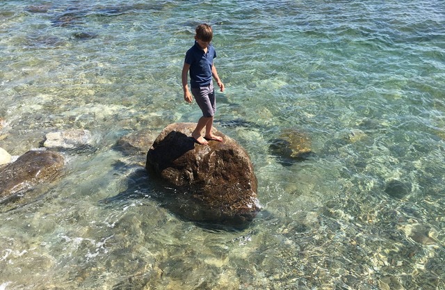 Family house with land and sea view (180°), typical of the Cotentin peninsula
