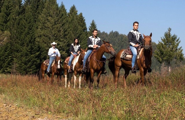 Family & Pet friendly Ranch Marina with horses