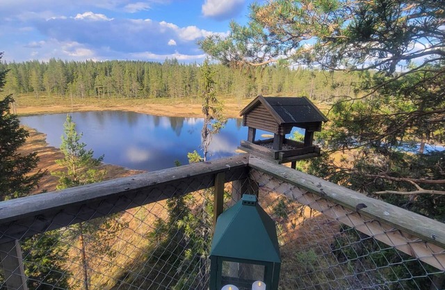 Fantastic Experiences, Wooden Cabin – A Serene Escape in Trysil Forest