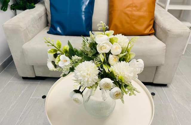 Fantastico Apartamento USERA