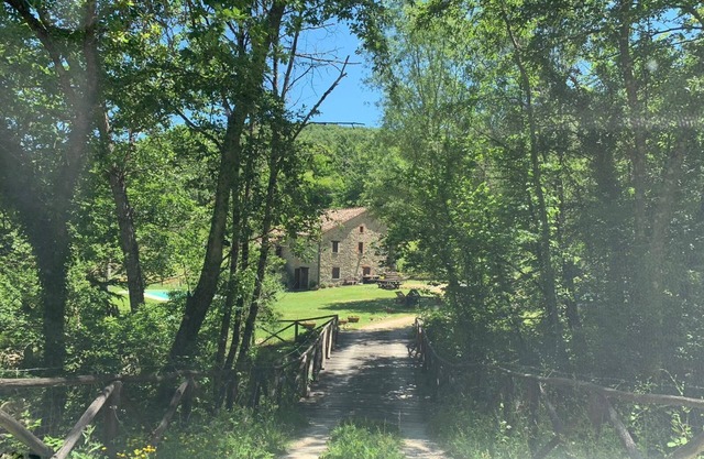 Farmhouse immersed in the woods