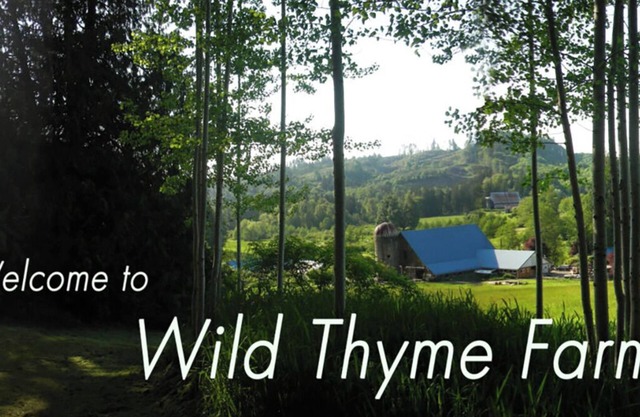 Farm and Forest Eco-Retreat Sanctuary Wild Thyme Farm