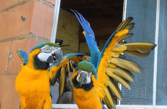 farm in the middle of nature a paradise