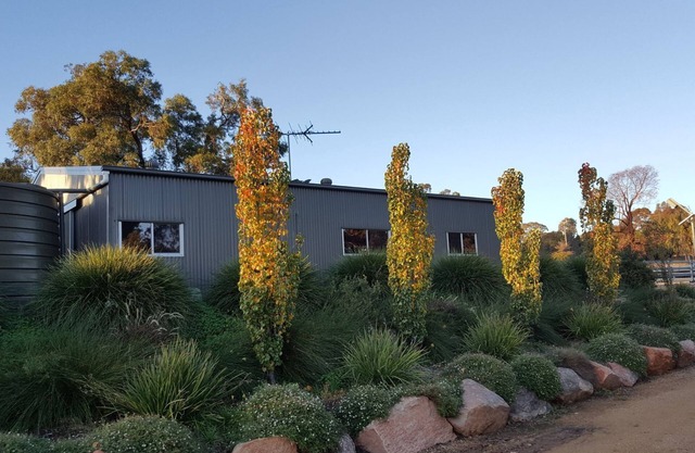 Farm stay experience