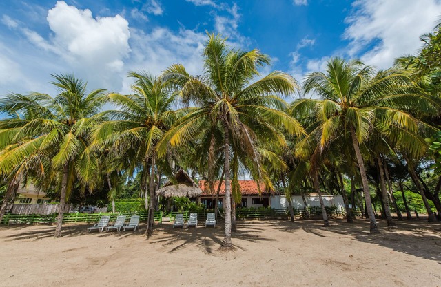 FAVORITE HOUSE on the BEACH since 2005, parking, wifi, housekeeper, security