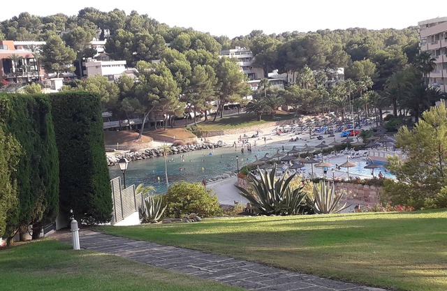 Favorite place in Mallorca, garden saltwater pool and direct sea access