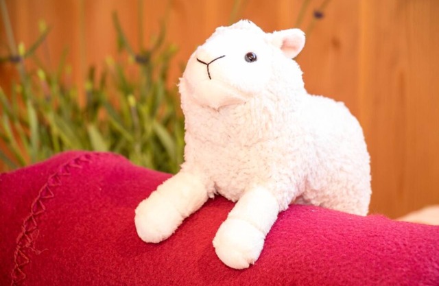 Ferien im Schäferwagen