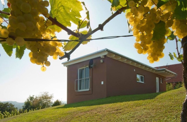 Ferienhaus "das Nussberg" - ab 4 Nächte - Ferienhäuser im Weingarten