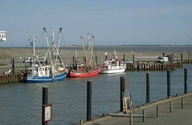 Ferienhaus in Dornumersiel 20-032a - 200-032a