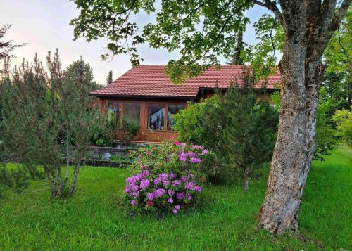 Ferienhaus Rehpfad im Feriendorf Reichenbach 20