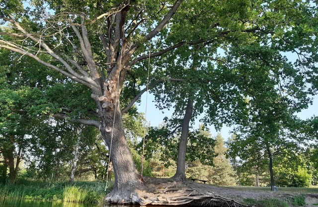 Ferienhaus Saturn, 50 qm, 2 Schlafzimmer für Max. 4 Personen