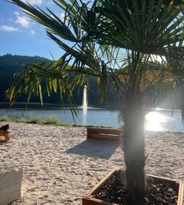 Ferienhaus Seeblick