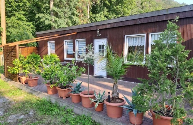 Ferienhaus "Waldhäuschen am Waldesrand"