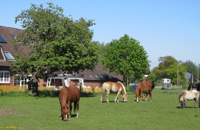 Ferienwohnung 1 mit Einem Schlafzimmer in Ruhiger Idyllischer Lage, Nordseenähe