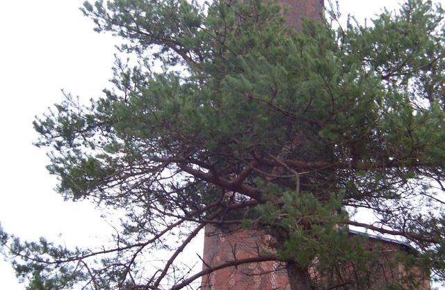 Ferienwohnung/app. für 2 Gäste mit 40m² in Prerow