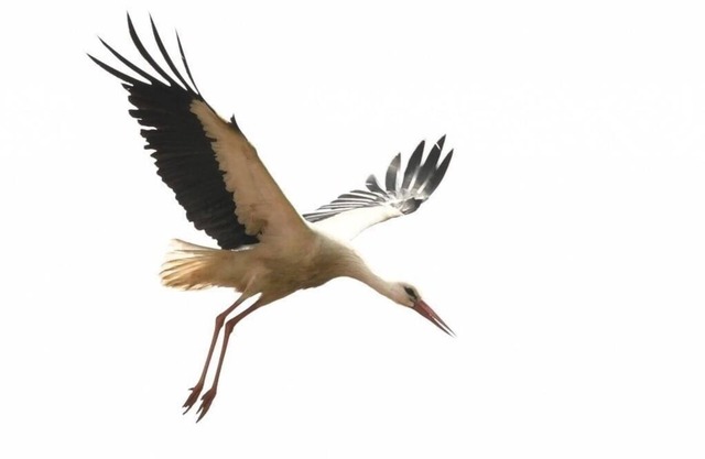 Ferienwohnung/app. für 6 Gäste mit 115m² in Grube