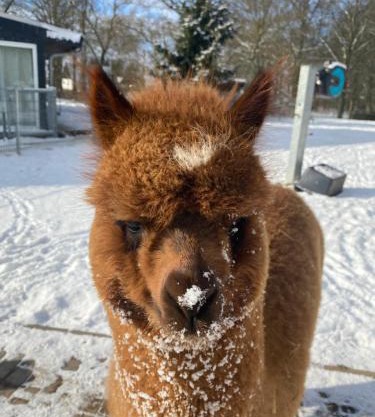 Ferienwohnung im Park 1
