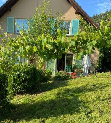 Ferienwohnung Kräutergarten