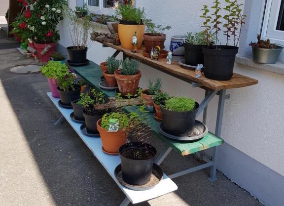 Ferienwohnung Namaste