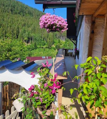 Ferienwohnung Schwarzwaldglück