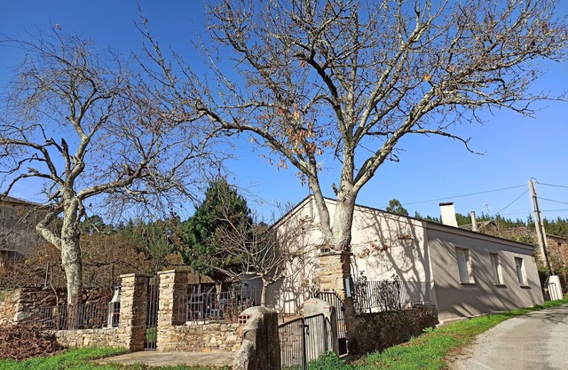 ferreirua house