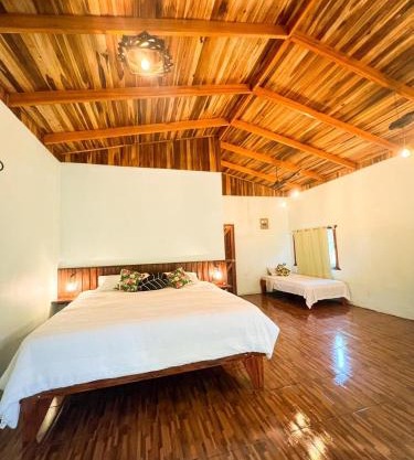 Ficus house