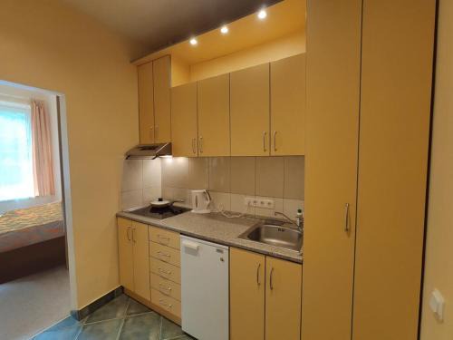 First Hotel's apartment