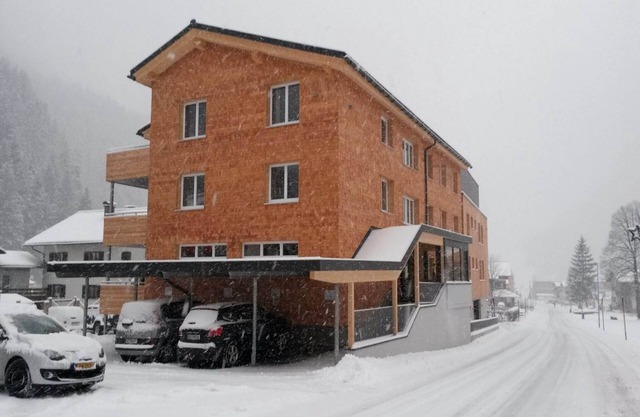 Flat in Arlberg near Ski Slopes & Sauna