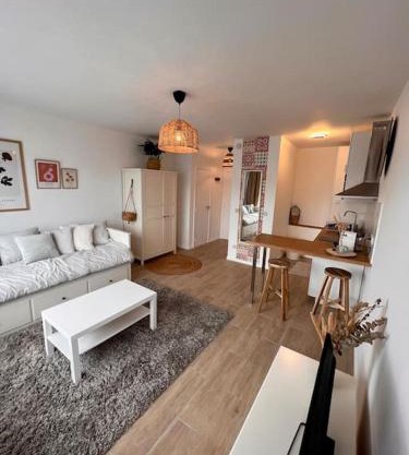 Flat moderne et lumineux